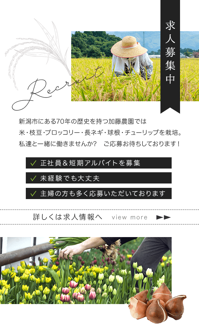 sp_secondmain