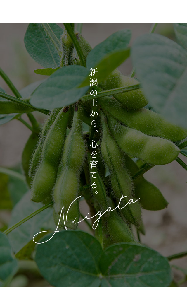 新潟の土から、心を育てる。