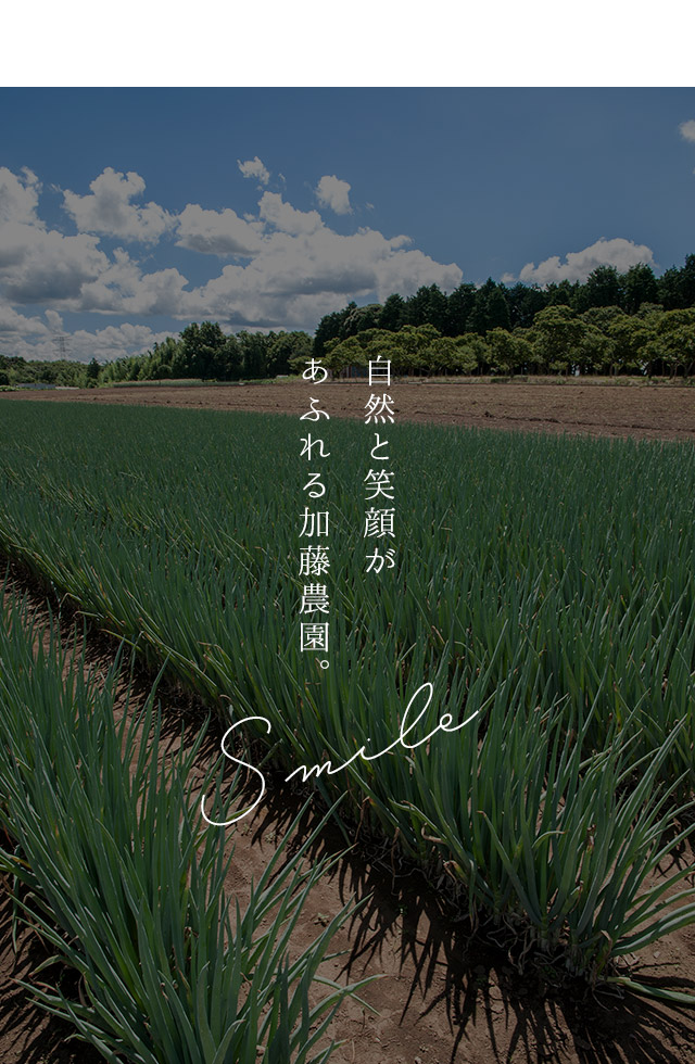 自然と笑顔があふれる加藤農園。
